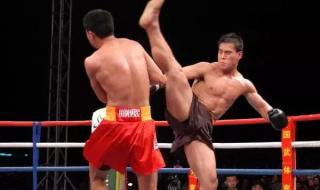 中国散打王柳海龙