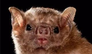 诺贝尔奖总奖金达38.74亿元 诺贝尔奖总奖金达38.74亿元