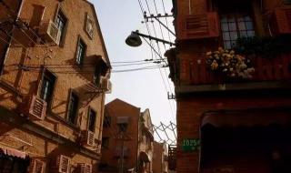 老人接两个电话1000万没了