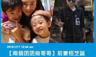 张柏芝谢霆锋结婚 张柏芝谢霆锋结婚