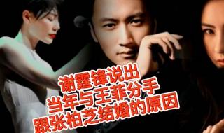 张柏芝谢霆锋结婚 张柏芝谢霆锋结婚