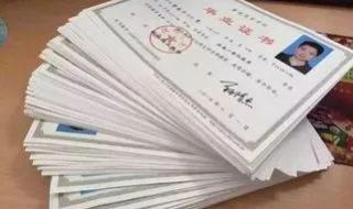 正规机构学历提升