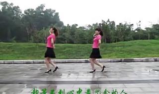 用情最深的人歌词