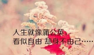 摸着你的逗号亲着你的句号 摸着你的逗号亲着你的句号