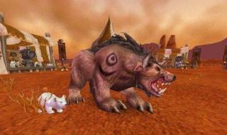 熊战士出什么装备