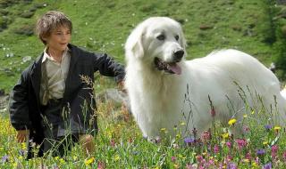 雪莉的电影要播了 雪莉的电影要播了