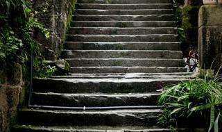 雨中漫步钢琴简谱 雨中漫步钢琴简谱