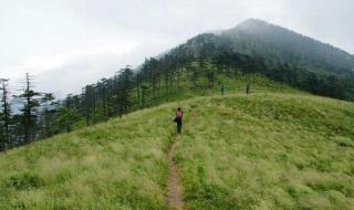 朱雀国家森林公园 朱雀国家森林公园