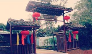 阳光大道蚂蚁庄园