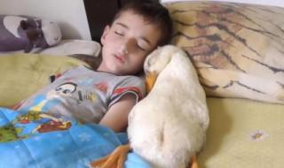 放在里面睡觉的睡姿有哪些 放在里面睡觉的睡姿有哪些