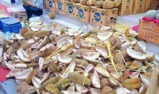 泰国榴莲即将大量上市 泰国榴莲即将大量上市