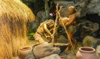 夏至吃狗肉有什么好处 夏至吃狗肉有什么好处