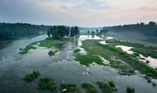 面积最大的省是哪个省