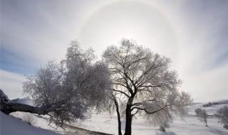 山回路转不见君下一句