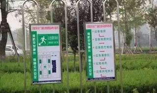 山东地震多地收到预警