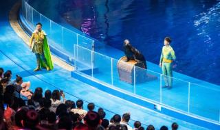 十一去哪里旅游最好玩 十一去哪里旅游最好玩