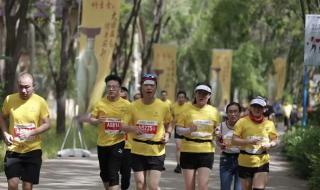 武汉马拉松2023路线图 武汉马拉松2023路线图